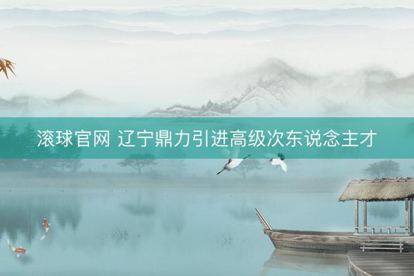 滾球官網 遼寧鼎力引進高級次東說念主才